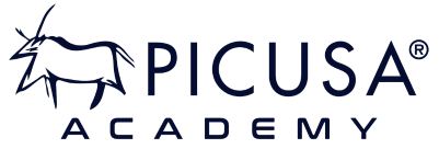 Picusa logo alt