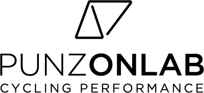 punzonlab logo