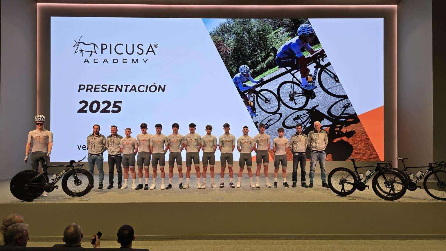 Presentación Picusa